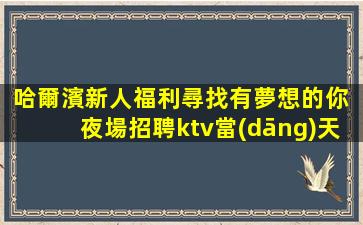 云浮夜總會招聘